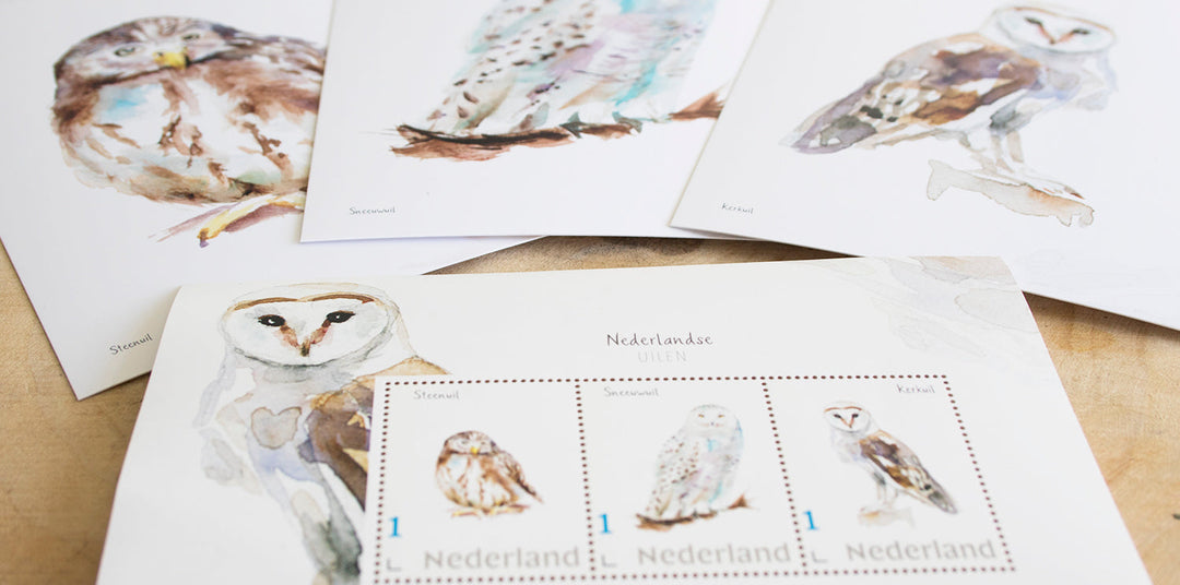 owl stamps and owl greeting cards by Michelle Dujardin