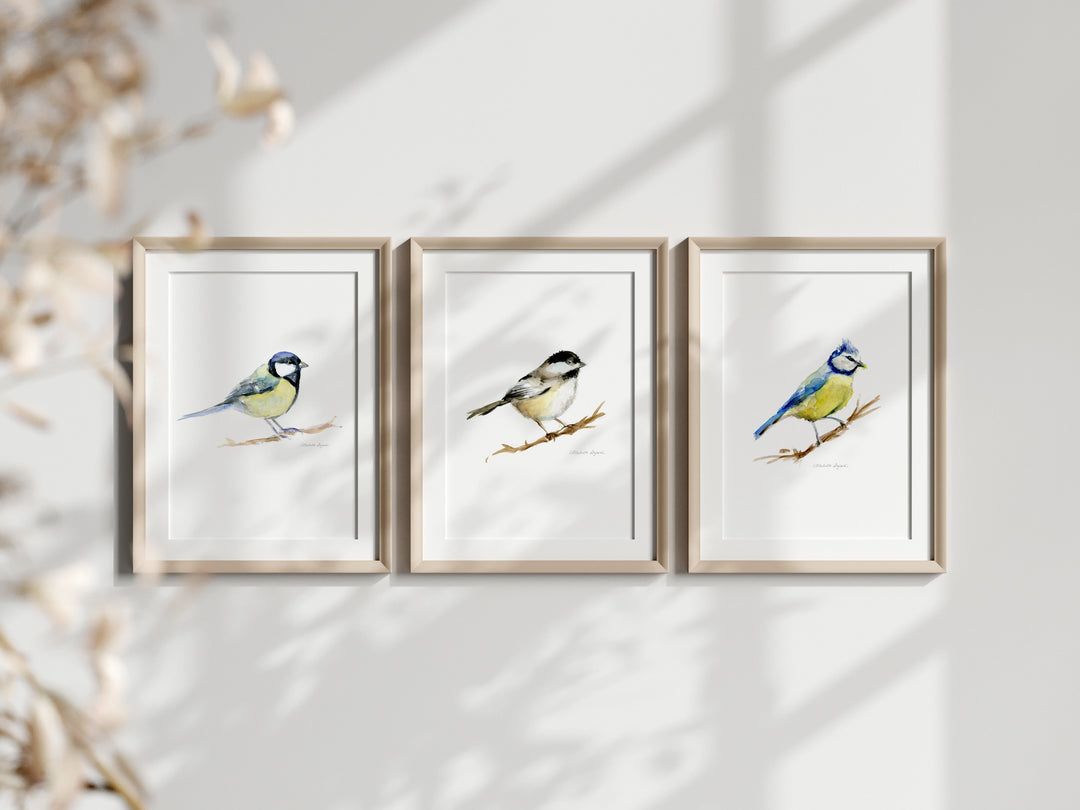 Bird Art prints