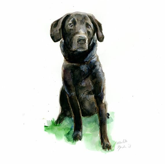 Aquarel schilderij in opdracht van uw hond, kat of huisdier