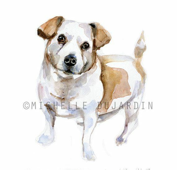 Aquarel schilderij in opdracht van uw hond, kat of huisdier