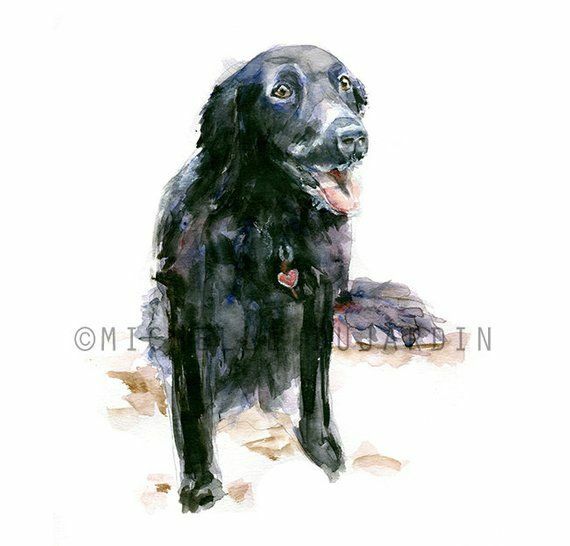 Aquarel schilderij in opdracht van uw hond, kat of huisdier