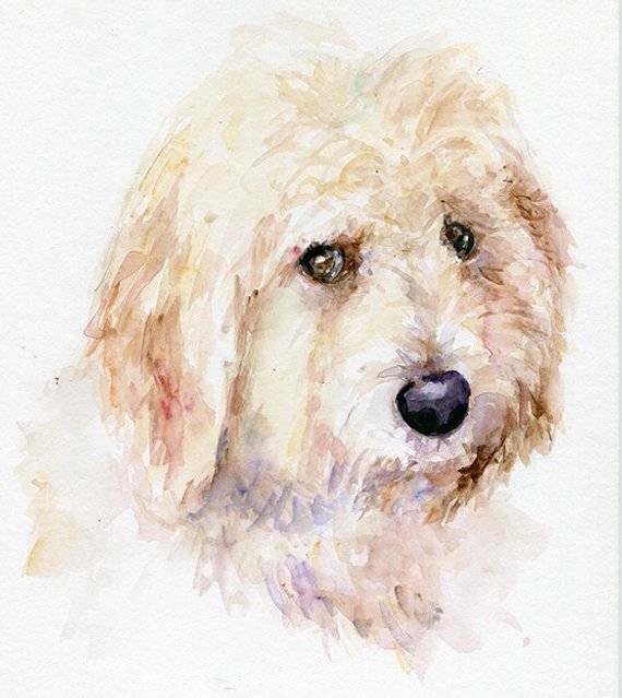 Aquarel schilderij in opdracht van uw hond, kat of huisdier