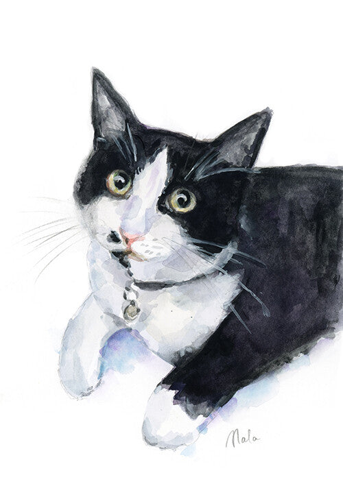Aquarel schilderij in opdracht van uw hond, kat of huisdier