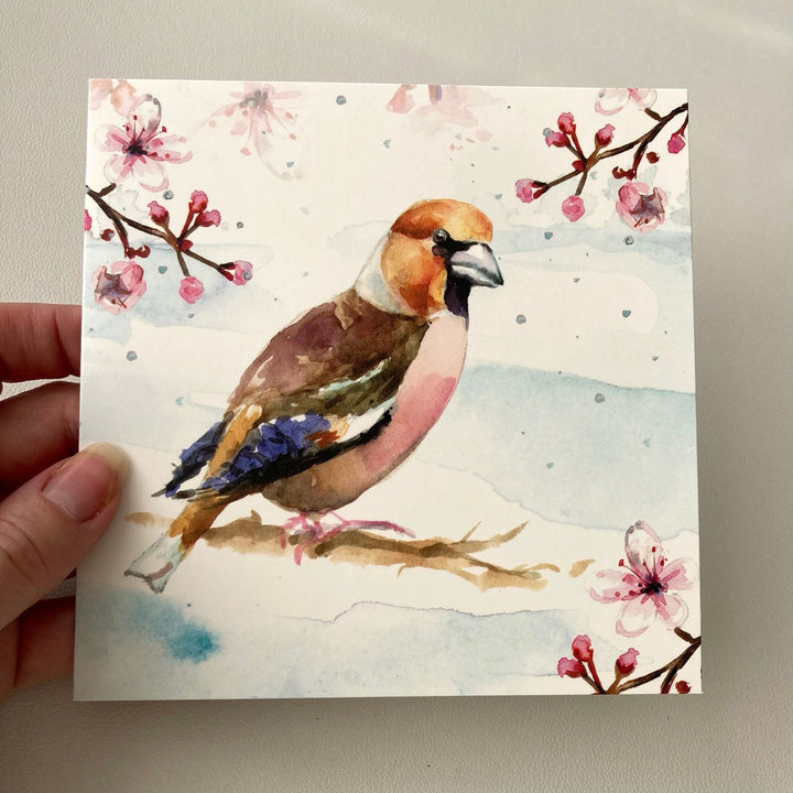 Greeting cards 'Winter Birds' by Michelle Dujardin (2023 release)