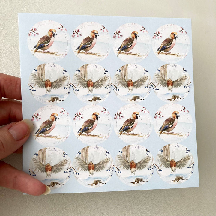 Greeting cards 'Winter Birds' by Michelle Dujardin (2023 release)