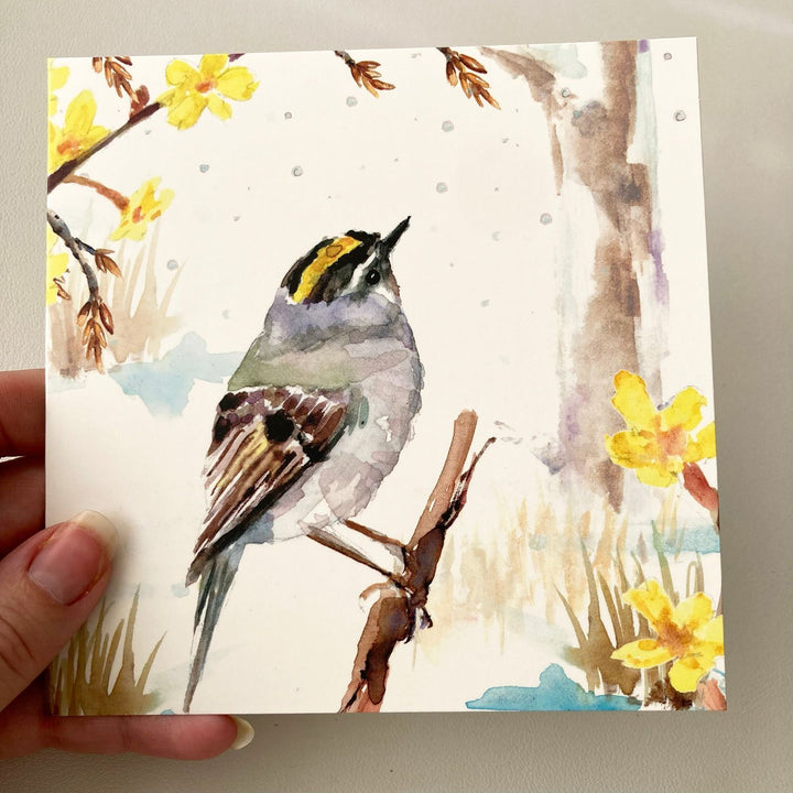 Greeting cards 'Winter Birds' by Michelle Dujardin (2023 release)