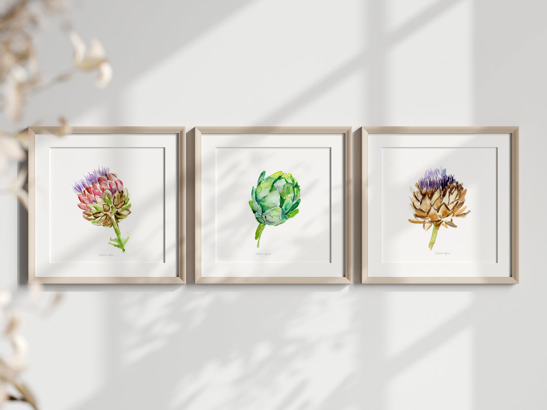 Set of 3 artichoke watercolor illustrations by Michelle Dujardin