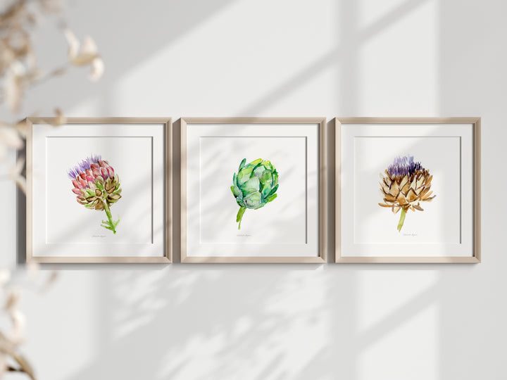 Set of 3 artichoke watercolor illustrations by Michelle Dujardin