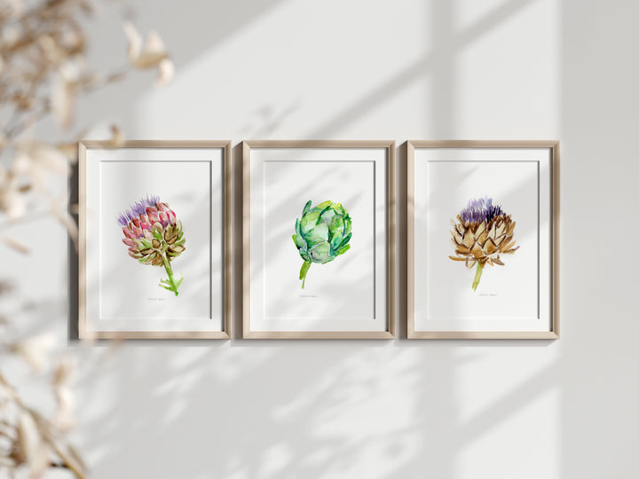 3 stages of artichoke plants in watercolor by Michelle Dujardin