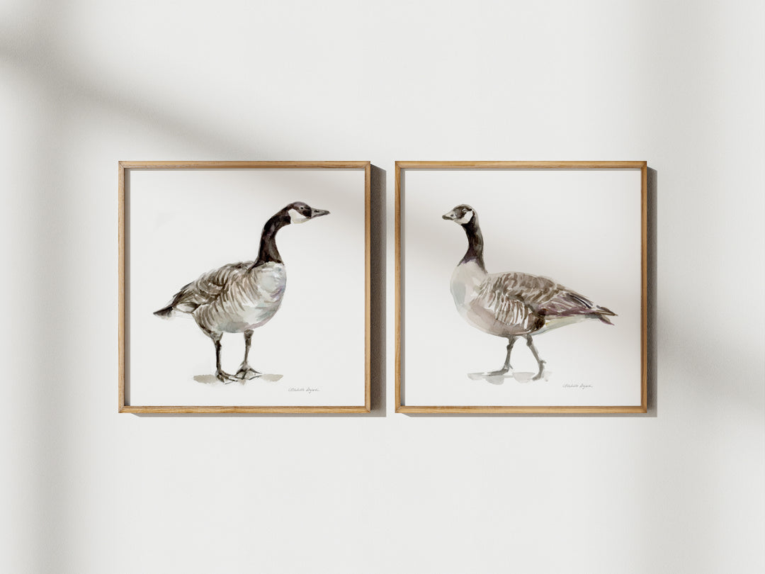 Set van 2 Canadese gansen Prints aan de muur