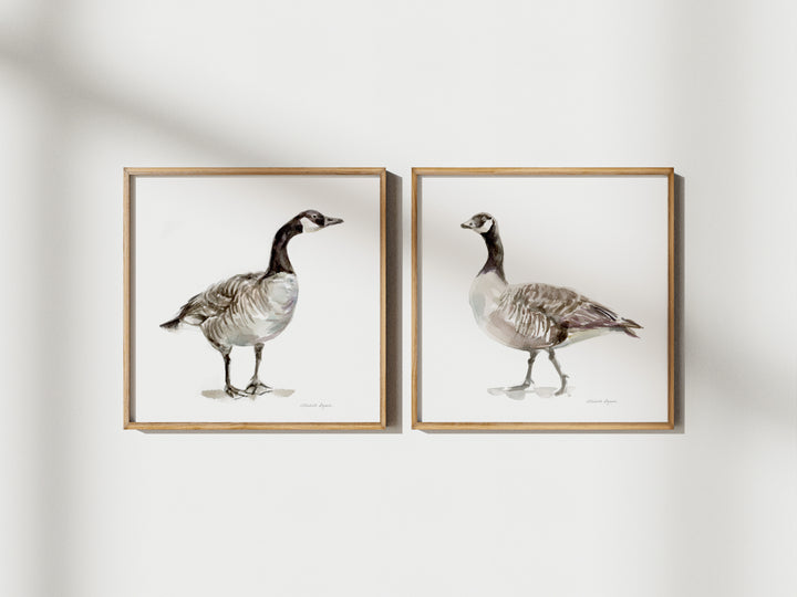 Set van 2 Canadese gansen Prints aan de muur