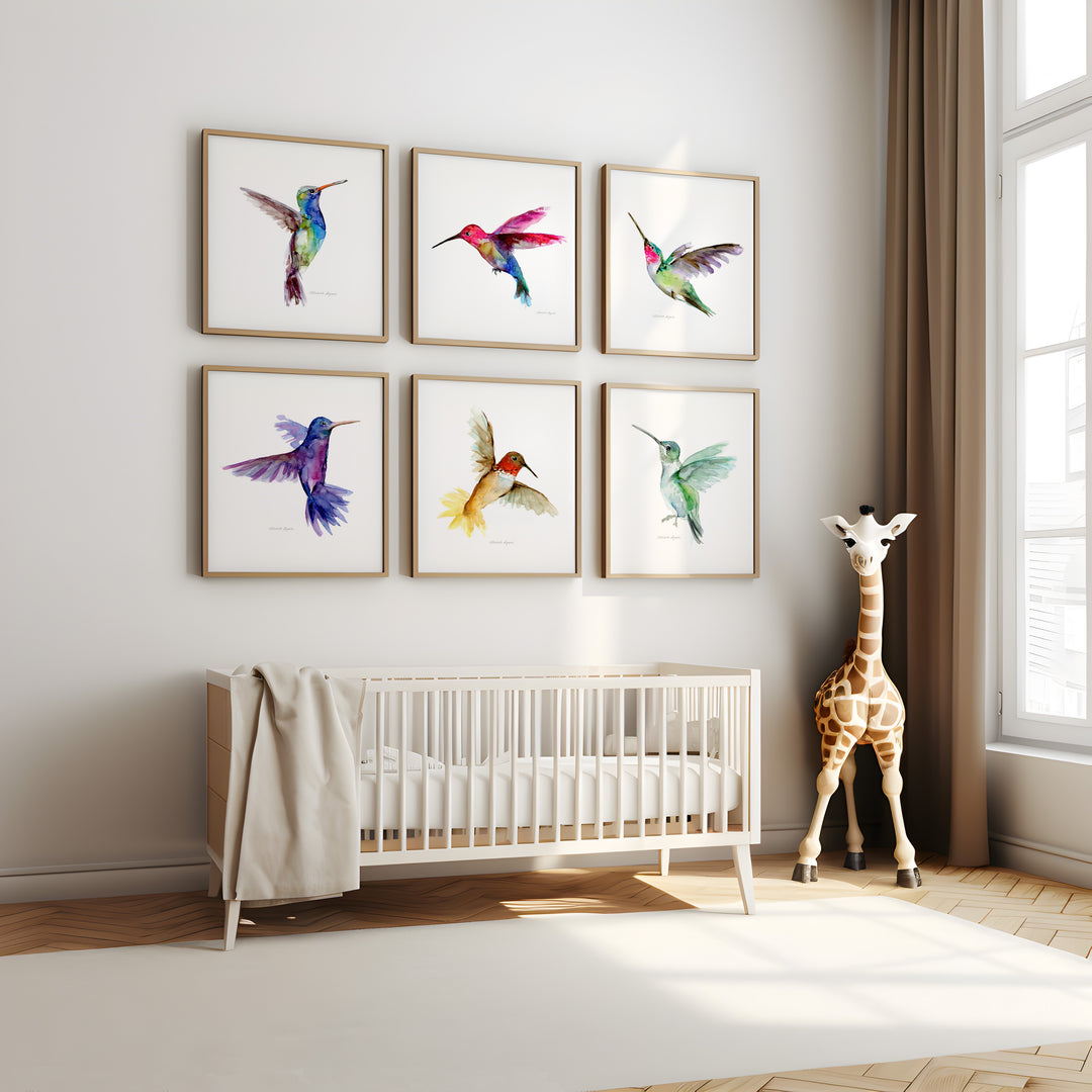 Set of 6 colorful hummingbird prints painted by Michelle Dujardin