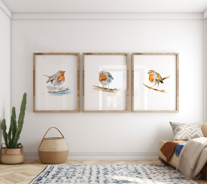 Red robin art prints in wooden frames by Michelle Dujardin