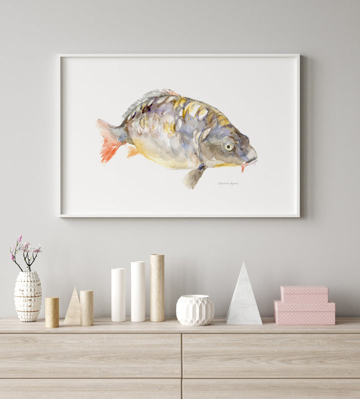 fish art print of a carp in large white frame