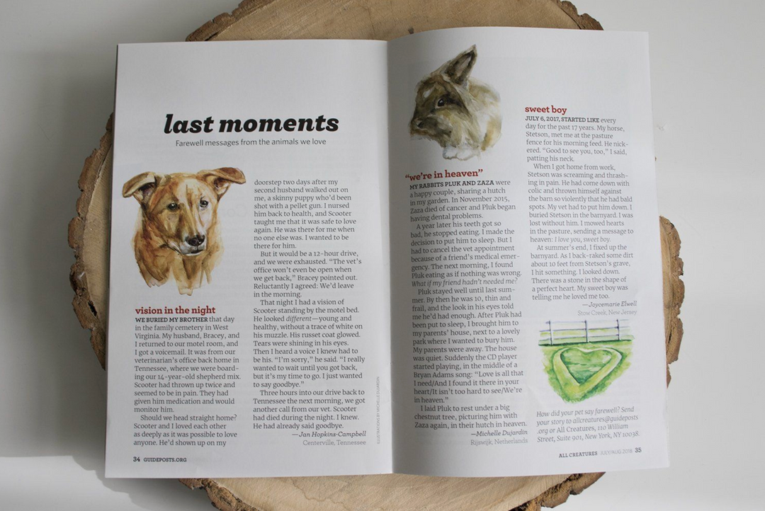 Guidepost animal loss section with watercolor illustrations by Michelle Dujardin