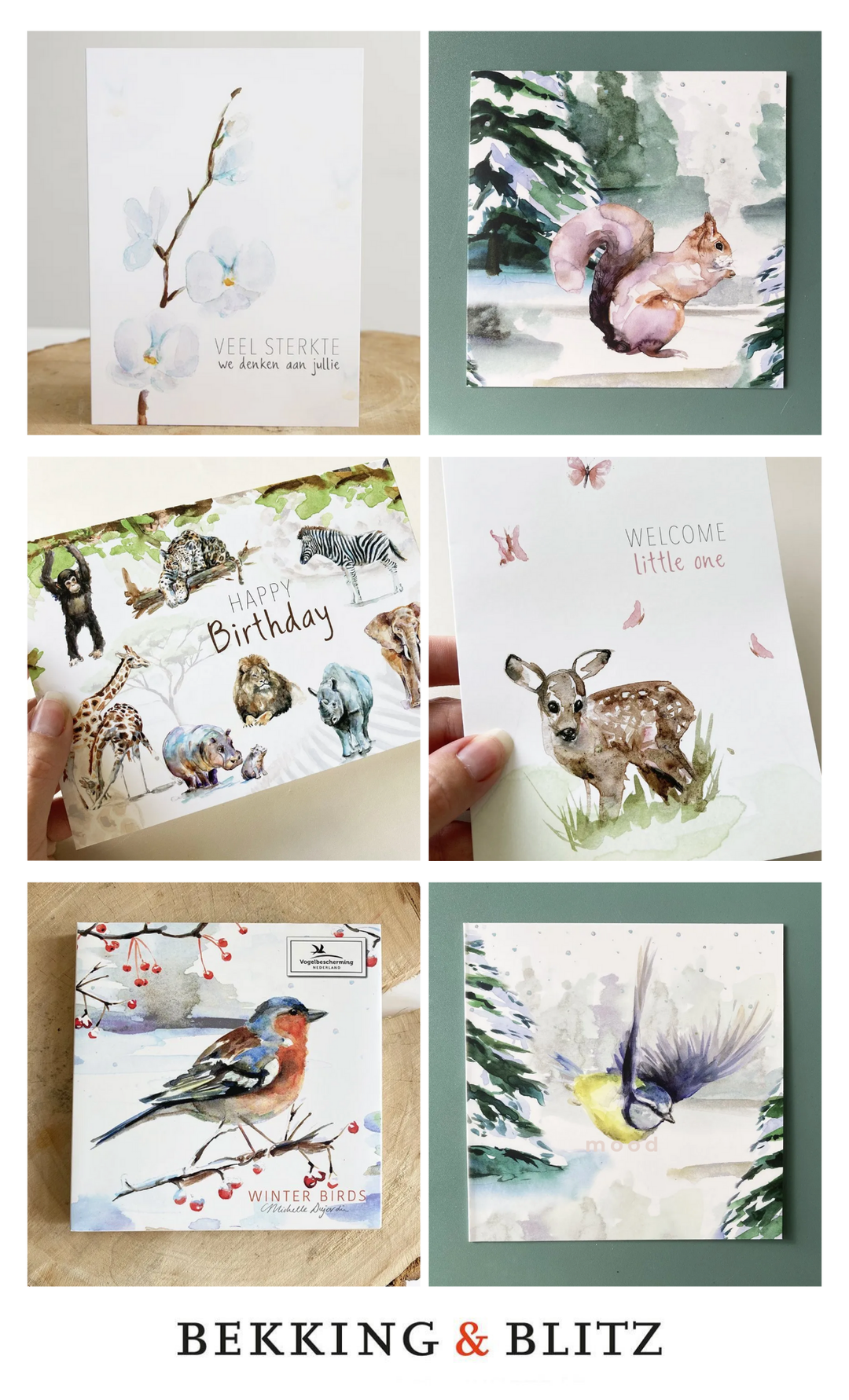 Overzicht van diverse gallery cards en kaartenmapjes van michelle dujardin