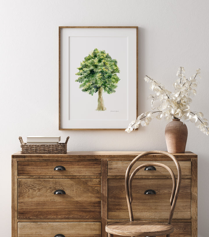 framed artwork of a Linden tree painted by Michelle Dujardin