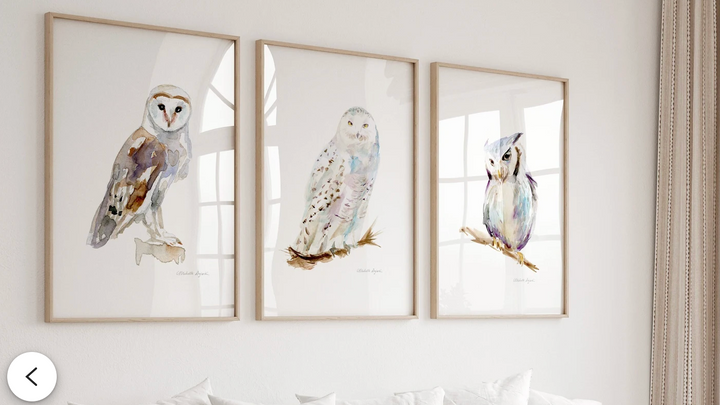 Art set with snowy owl, barn owl and northern white faced owl by Michelle Dujardin