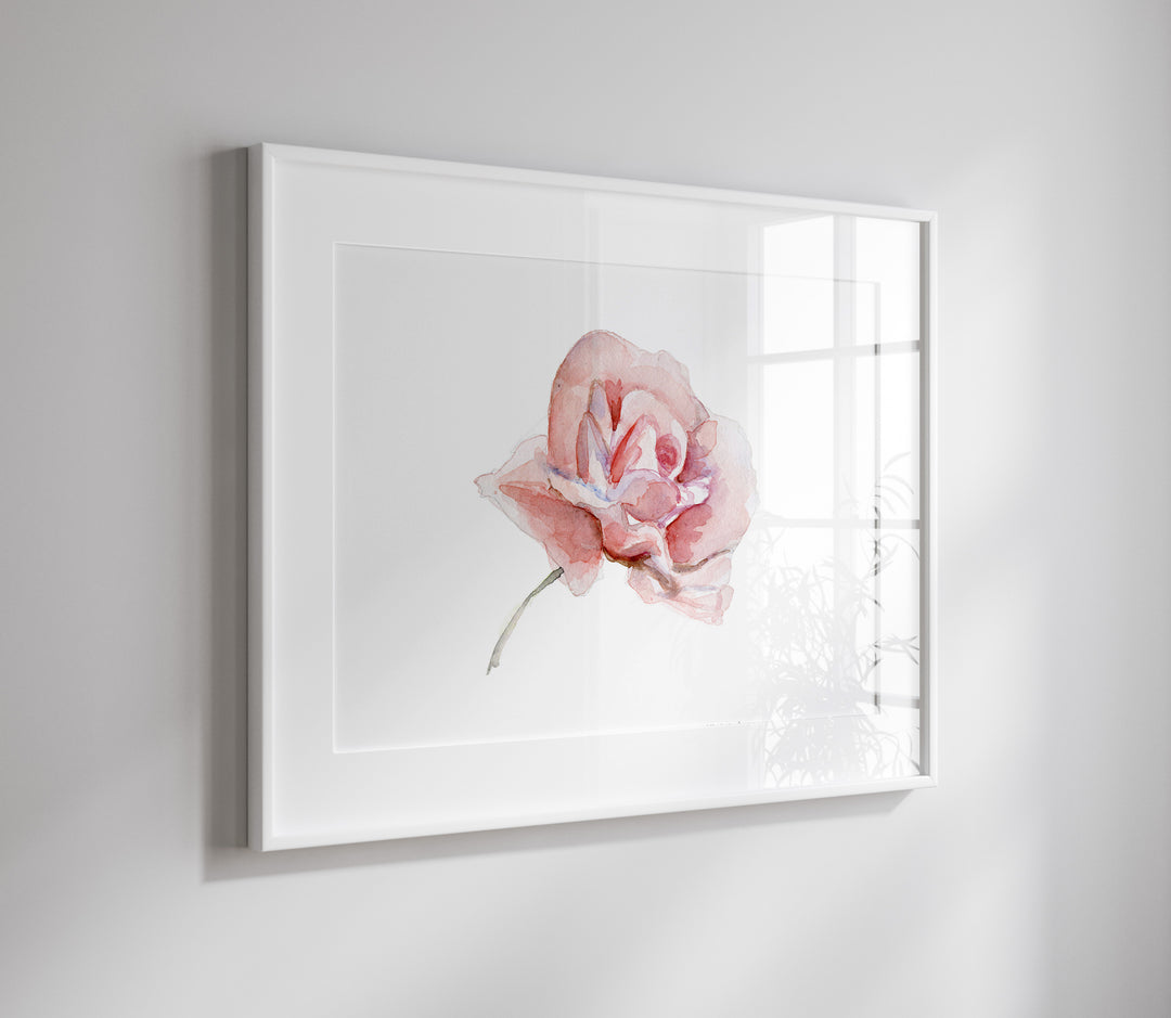 Pink rose wall art print painted by Michelle Dujardin