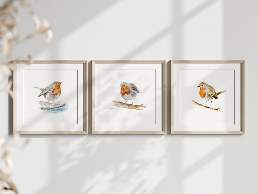 Set van 3 vierkante lijstjes met roodborst kunst voor aan de muur