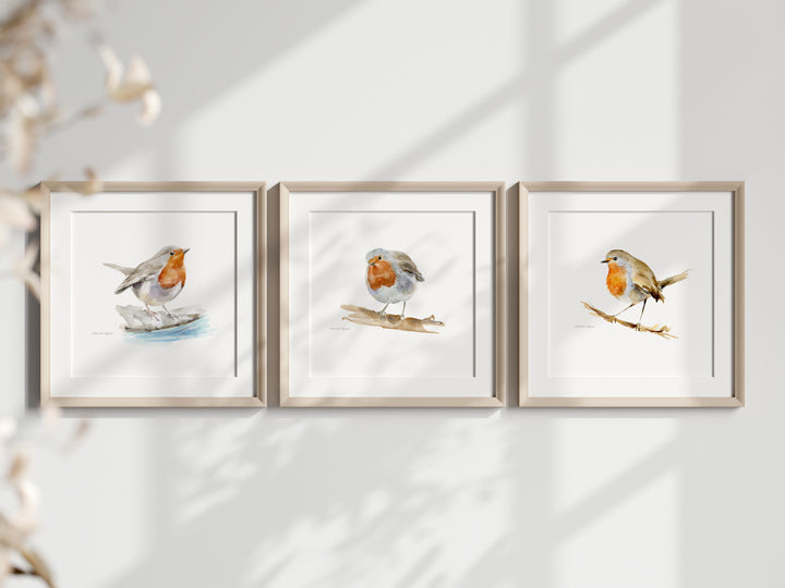 Set van 3 vierkante lijstjes met roodborst kunst voor aan de muur