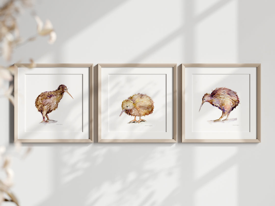 Kiwi bird family art prints by Michelle Dujardin framed in square frames