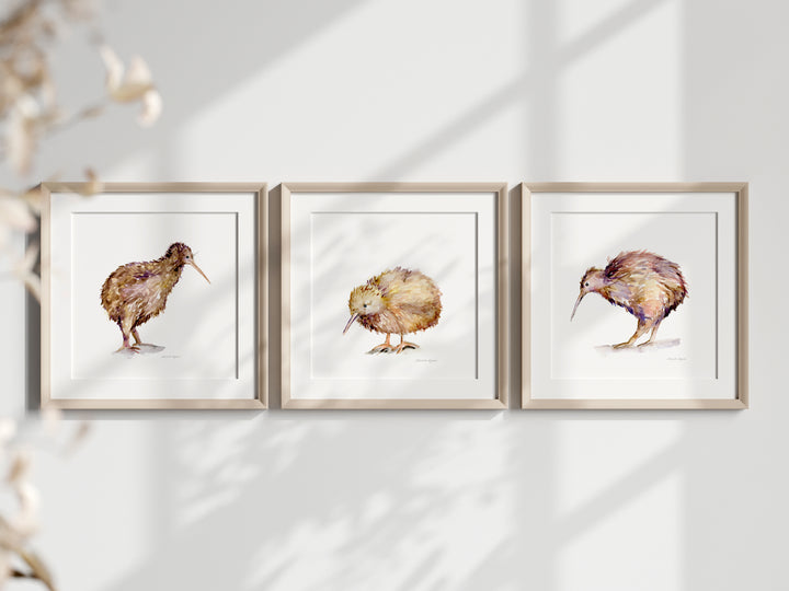 Kiwi bird family art prints by Michelle Dujardin framed in square frames
