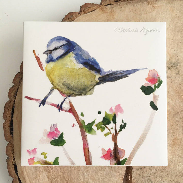 Populaire vogelkaarten met illustraties van Michelle Dujardin