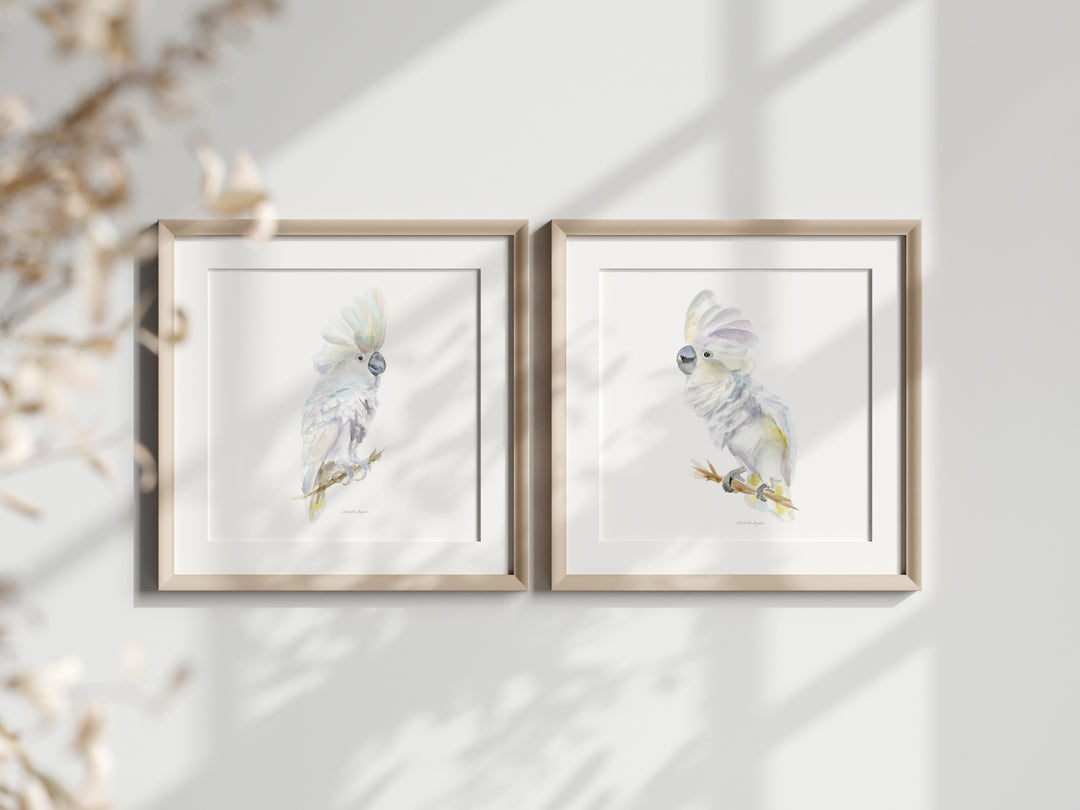 witte Papegaai kaketoe aqaurel prints van Michelle Dujardin