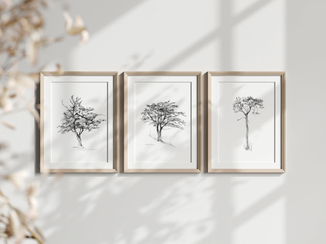 Set of 3 tree Zen drawings in pencil