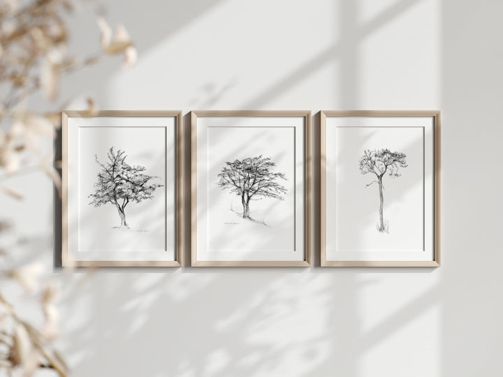 Set of 3 tree Zen drawings in pencil