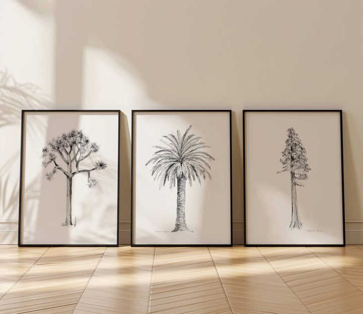 Joshua palmboom en sequoiaboom tekening door Michelle Dujardin