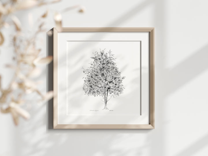 Kunstprint van een Zen tekening van een lijsterbes boom van Michelle Dujardin