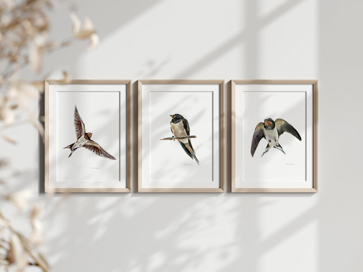 set van 3 boerenzwaluw aquarel schilderijen