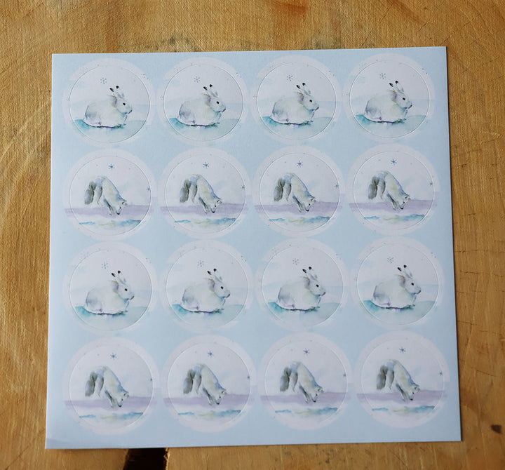 Arctic Winter Greeting Cards – Set of 10 by Michelle Dujardin WWF edition