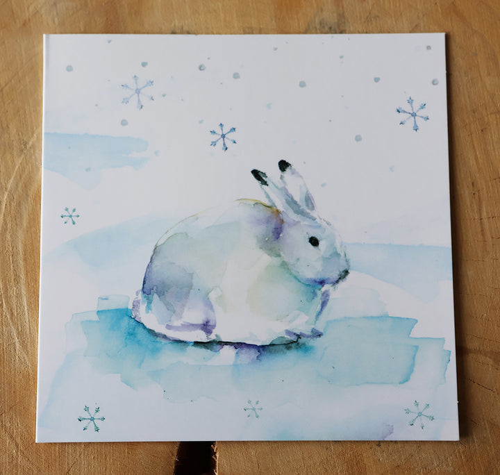Arctic Winter Greeting Cards – Set of 10 by Michelle Dujardin WWF edition