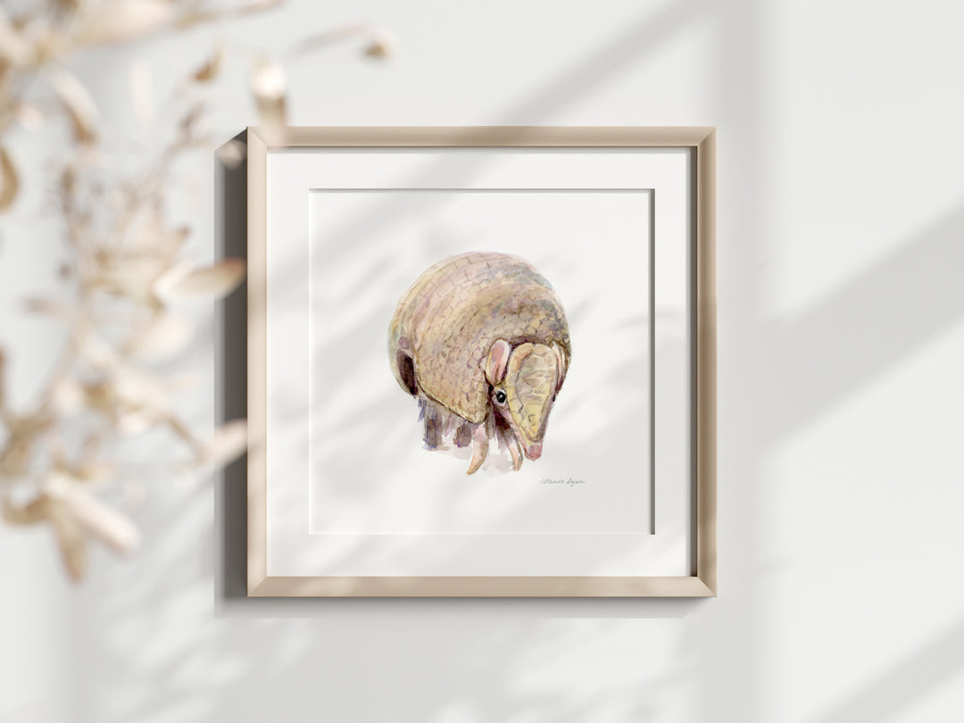 Armadillo watercolor painting by Michelle Dujardin