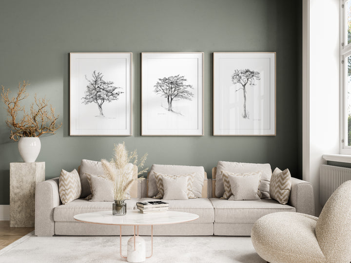 Set of 3 tree Zen drawings in pencil