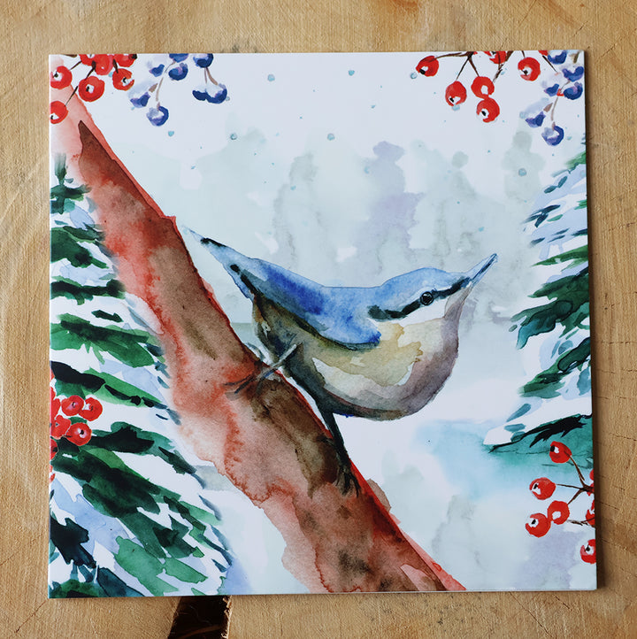 Greeting cards 'Winter Birds' by Michelle Dujardin (2025 release) with kingfisher