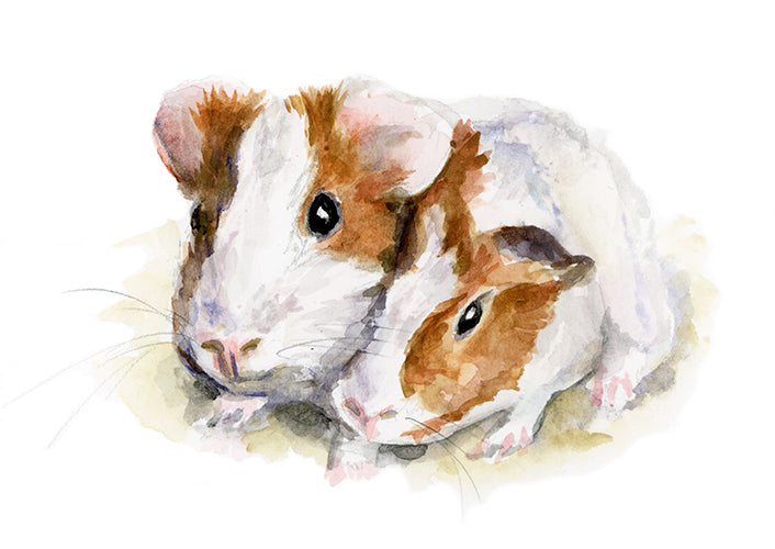 Gladharige cavia aquarel schilderij van Michelle Dujardin