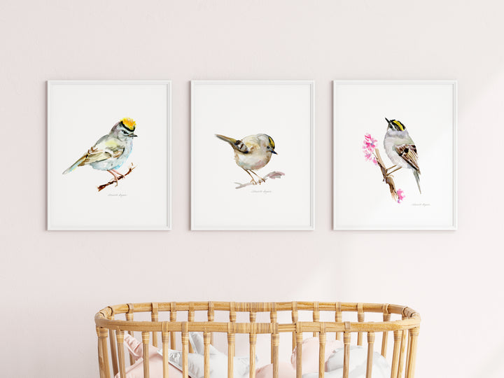 Goldcrest bird art prints of watercolor painting by Michelle Dujardin