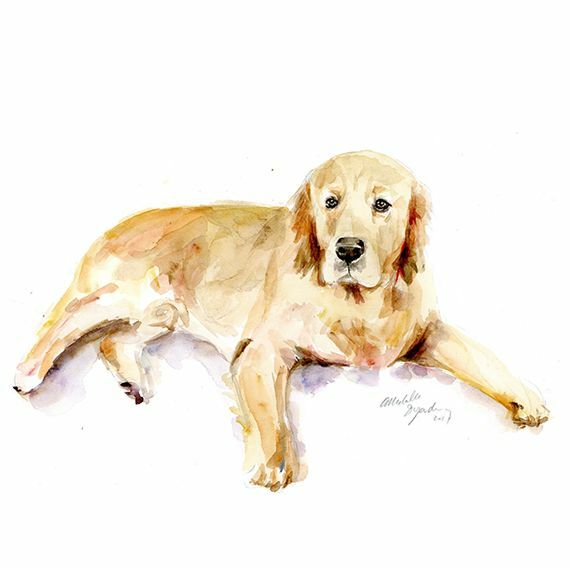Golden retriever aquarel schilderij van Michelle Dujardin
