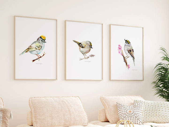 Set of 3 Goldcrest Watercolor Art Prints