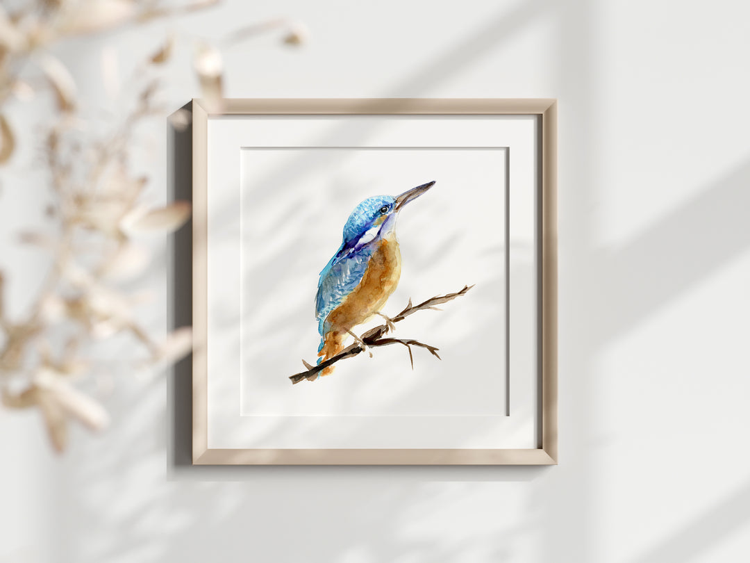 Common Kingfisher Art Print