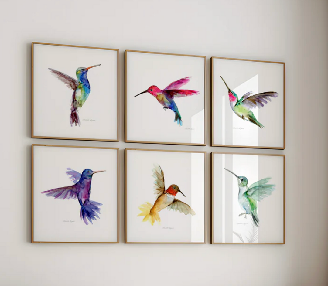Set van 6 gekleurde kolibrie schilderijen van Michelle Dujardin