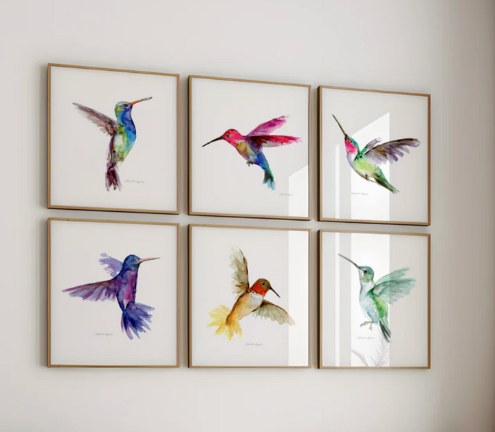 Set van 6 gekleurde kolibrie schilderijen van Michelle Dujardin
