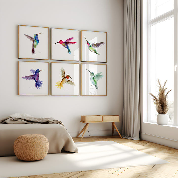 6 kolibrie kunst posters van Michelle Dujardin