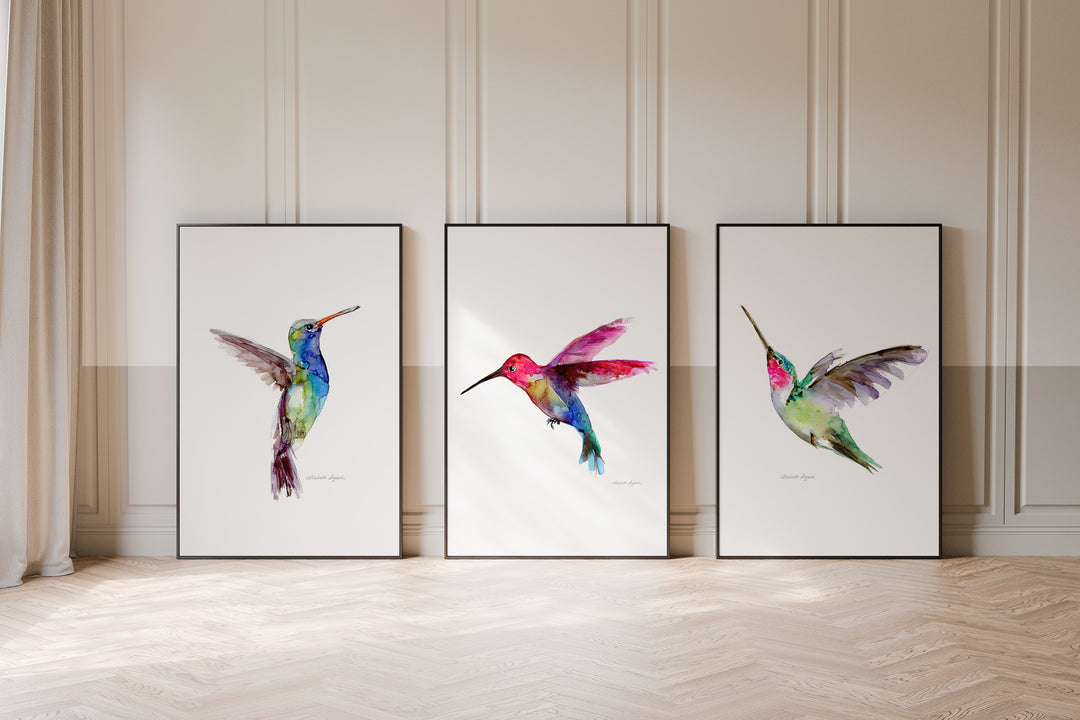 Set of 3 blue green and pink Hummingbird Prints