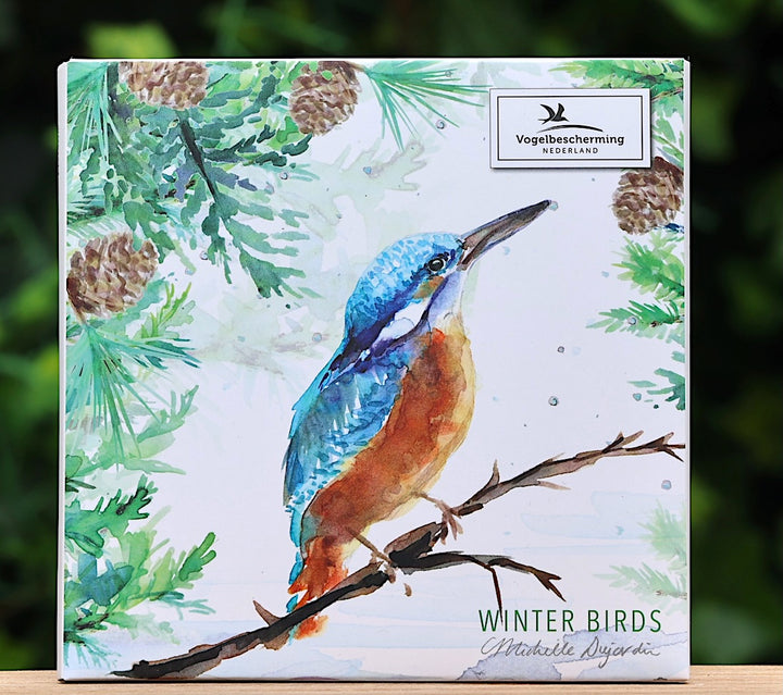 Greeting cards 'Winter Birds' by Michelle Dujardin (2024 release) with kingfisher