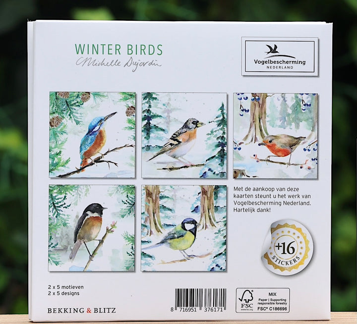 Greeting cards 'Winter Birds' by Michelle Dujardin (2024 release) with kingfisher